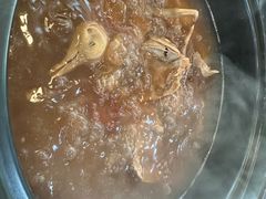 -一煲鸽
