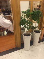 -逸丝风尚