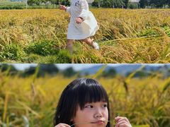 -光明小镇欢乐田园