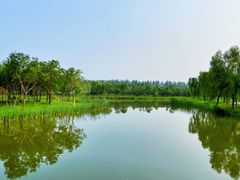 -东郊湿地公园