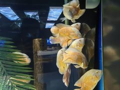 -重庆欢乐海底世界