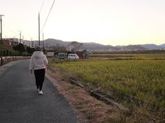 -岚山嵯峨野观光小火车