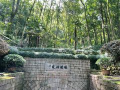 -瑶琳仙境