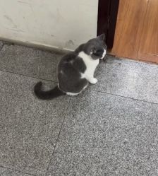 -和木形象