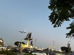 -In-N-Out Burger(LAX)