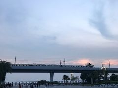 -宝安西湾红树林湿地公园