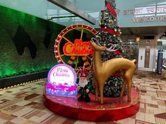 -英迪拉·甘地国际机场