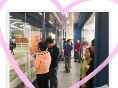 -骑乐马术(广州天河律动PARK中心)