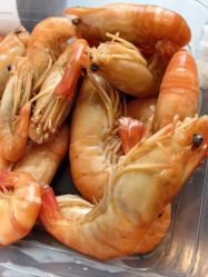 -无锡君来洲际酒店·宴会厅