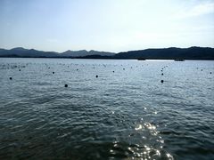 -杭州君悦酒店