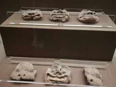 -敦煌市博物馆