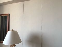 -上海棕榈滩海景酒店