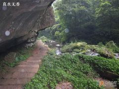 -碧峰峡风景区