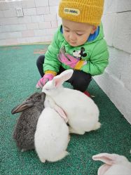 点击看大图 -季高兔窝窝亲子园(上海薰衣草公园店)