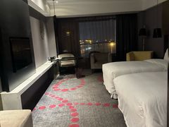 -南京禄口机场雅高铂尔曼大酒店