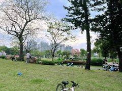 -金砂公园
