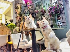 -小时光咖啡馆(北锣鼓巷店)