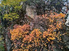 -秦岭终南山世界地质公园翠华山景区