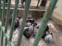 -广东茂名森林公园