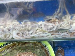 -张树军海鲜(王府壹号店)