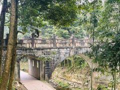 -凤栖山