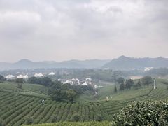 -帐篷客·溪龙茶谷度假酒店