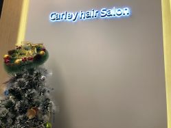 -THE LOG SALON 记录