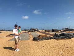 -尼甘布海鲜市场