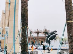 -上海海昌海洋公园