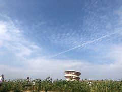 -光明小镇欢乐田园