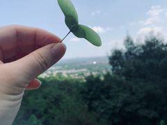 -北京西山国家森林公园