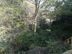 -木兰云雾山