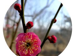 -北京鹫峰国家森林公园