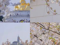 -苏州上方山国家森林公园