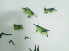 -红旗饭庄