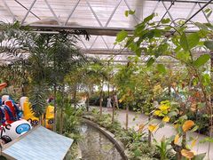 -南宫五洲植物乐园