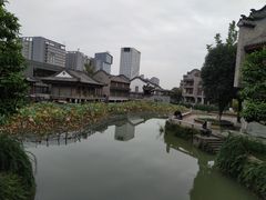 -龙潭水乡