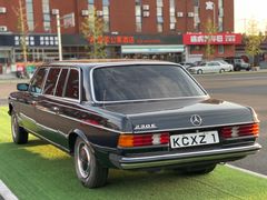 -燕郊烧鸽子(酷车小镇店)