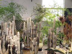 -鑫隆生活广场(阳光好东东店)