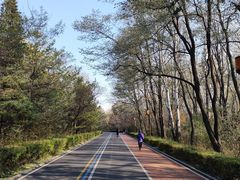 -长春市南湖公园