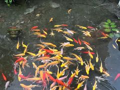 -广富林宰相府酒店·水云间