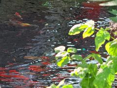 -水磨沟公园