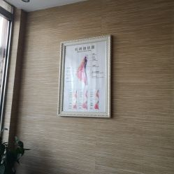 -成都伊贝丝美容美胸SPA会所