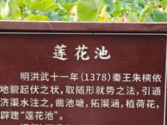 -莲湖公园