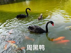 -南宁市动物园