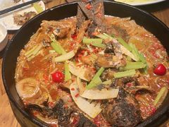 -老板恋上鱼(印象城店)