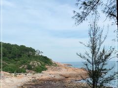 -广东惠东海龟国家级自然保护区