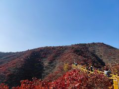 -水峪民俗村