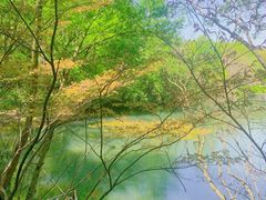 -白马涧龙池景区