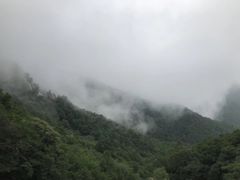 -木兰云雾山
